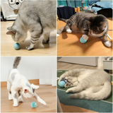 Auto Rolling Cat Toy